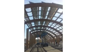 IMG-20160109-WA0000_1000x600